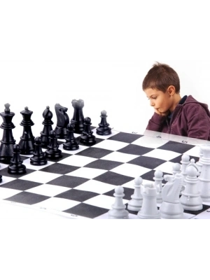 Okullara Özel Satranç Takımı