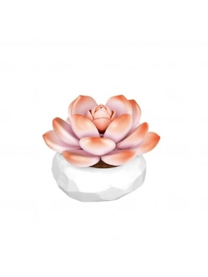 P655058 MONROE SUKULENT MODEL 86 PARÇA BLOCK OYUNCAK