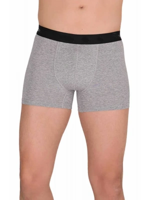 Pamuk Modal Likralı Esnek Erkek Boxer Gri 4476B