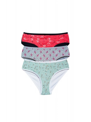 Pamuklu Geniş Kenarlı Likralı Desenli Bato Kadın Külot 3lü Paket Set1