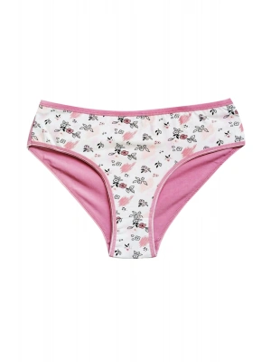 Pamuklu Geniş Kenarlı Likralı Desenli Bato Kadın Külot Desen 5