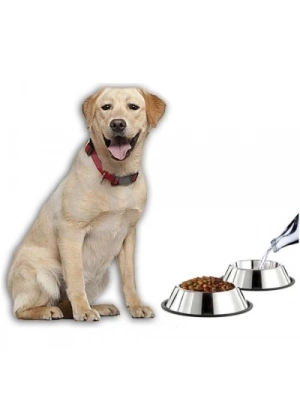 Paslanmaz Çelik Metal Mama Kabı 34 cm.