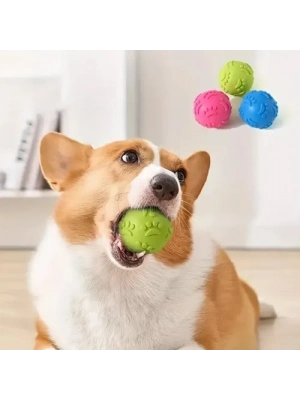 Pati Desenli Dayanıklı Köpek Isırma Topu