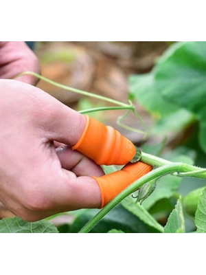 ® Pratik Baş Parmak Sebze Kesme Ayıklayıcı Erkek L Set