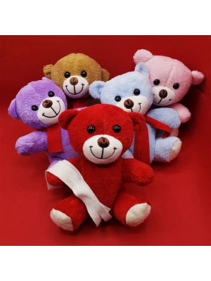 Renkli Peluş Ayıcık