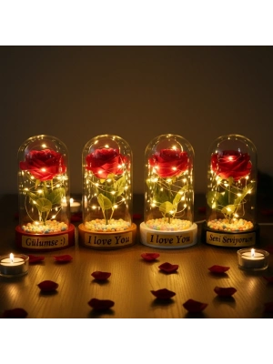 Renkli Toplu Ledli Gül Fanus