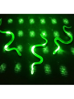 Şaka Yılan Ve Kırkayak Karışık 36 Adet