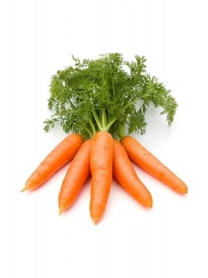 Sarı Havuç Tohumu 10 Gr