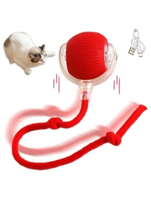 Şarjlı Kedi Oyuncağı
