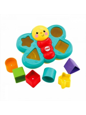 Şekil Eşleştirme Arkadaşı Kelebek CDC22