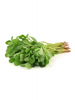 Semizotu Tohumu 10 Gr