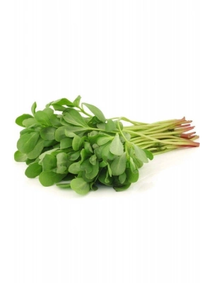 Semizotu Tohumu 10 Gr