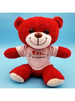 Seni Seviyorum Tasarımlı Oyuncak Ayı