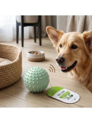 Sesli Dikenli Evcil Hayvan Oyuncak Topu