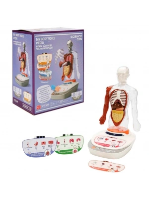 Sesli İnsan Vücudu Modeli Bilim Seti