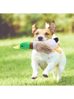 Sesli Ördek Şekilli Peluş Köpek Oyuncağı