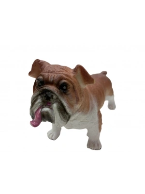 Soft Köpekler - Amerikan Bulldog Cinsi Köpek - E013