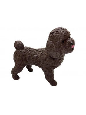 Soft Köpekler - Poodle Cinsi Köpek - E013