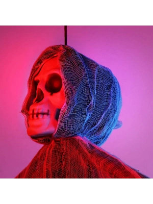 Ürpertici Kuru Kafa Hayalet Saçaklı Dekor