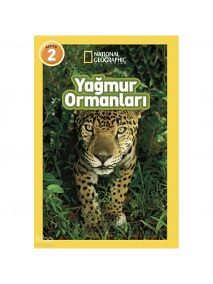 Yağmur Ormanları