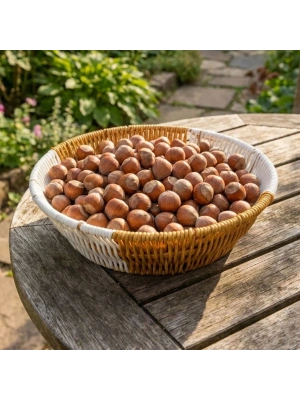 ®  Yuvarlak Çift Renkli Plastik Rattan Ekmek ve Meyve Sepeti - Çok Amaçlı Banyo ve Mutfak Düzenleyici - Yıkanabilir Tezgâh Üstü Organizer