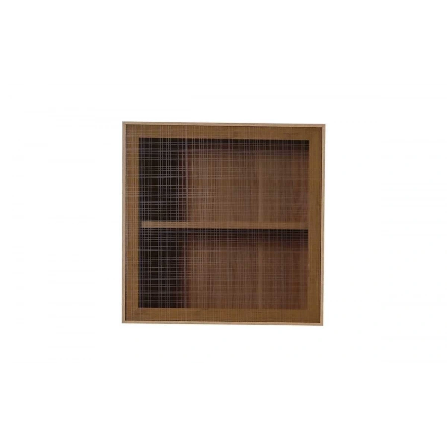 Frida Tv Box Modülü