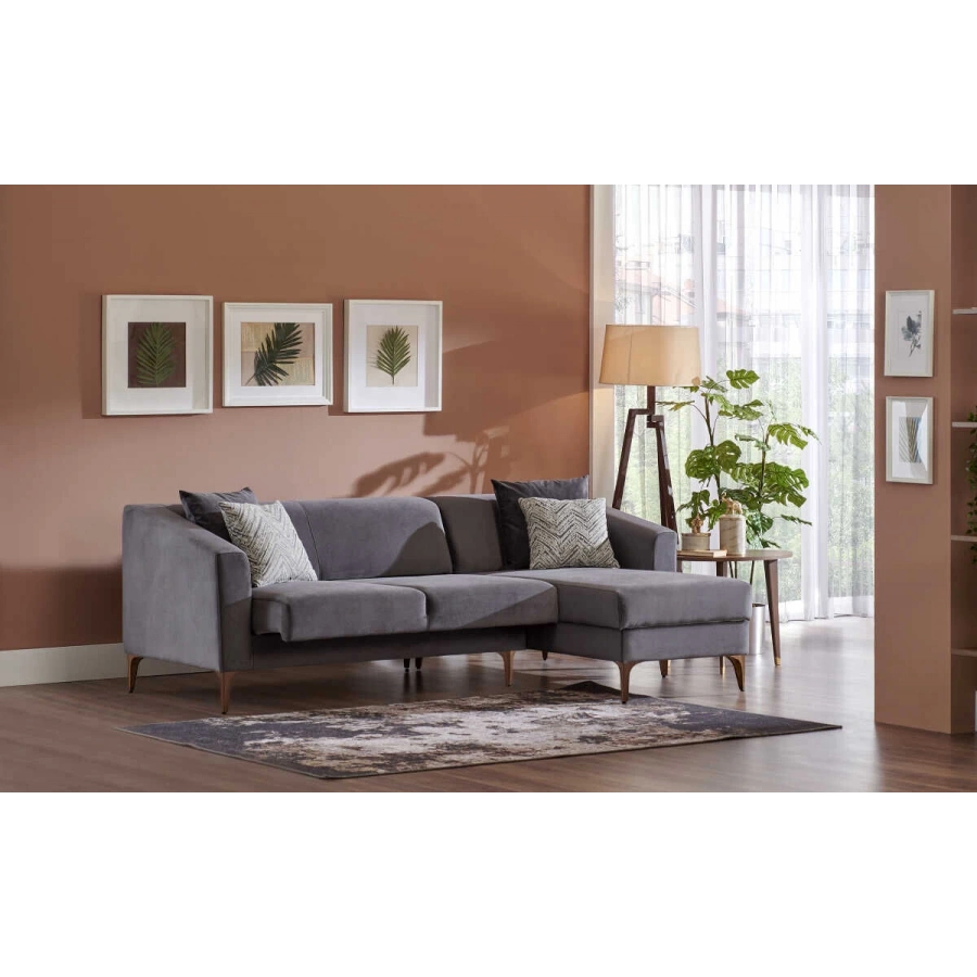 Purina Köşe Takımı