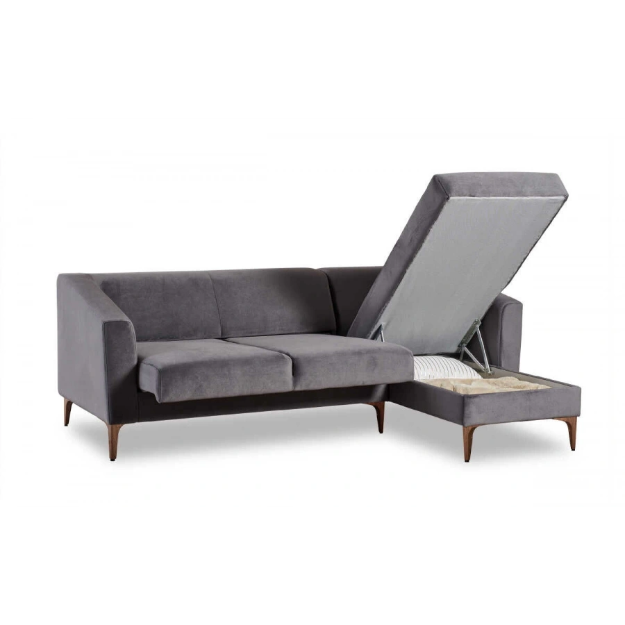 Purina Köşe Takımı