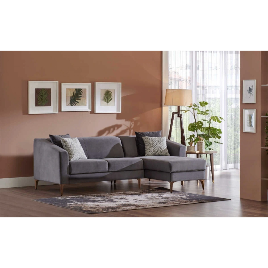 Purina Sağ Köşe Takımı