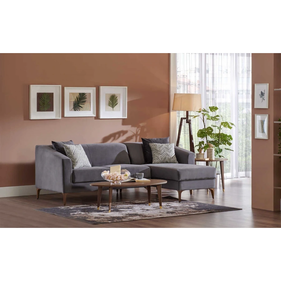 Purina Sağ Köşe Takımı