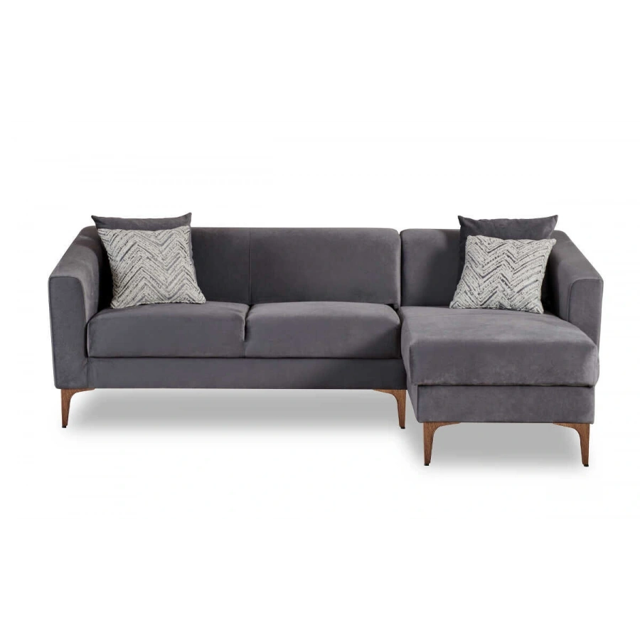 Purina Sağ Köşe Takımı