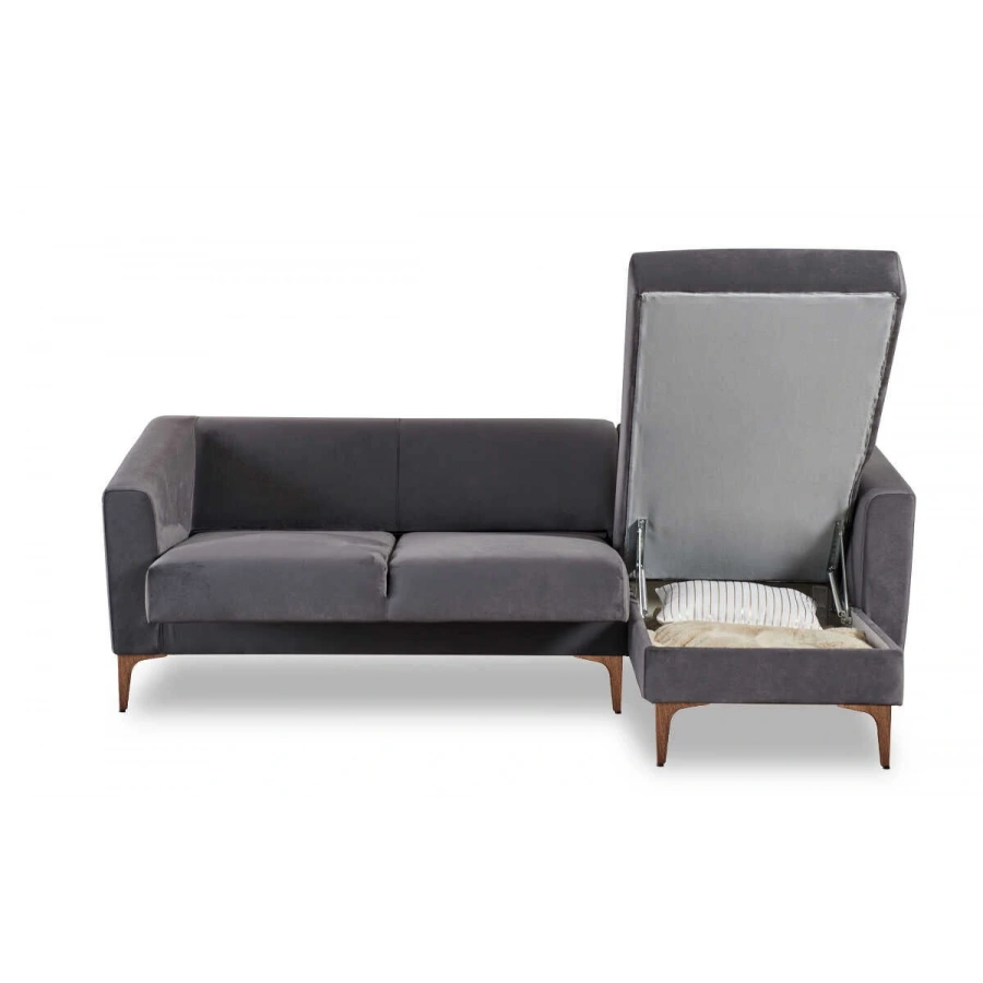 Purina Sağ Köşe Takımı