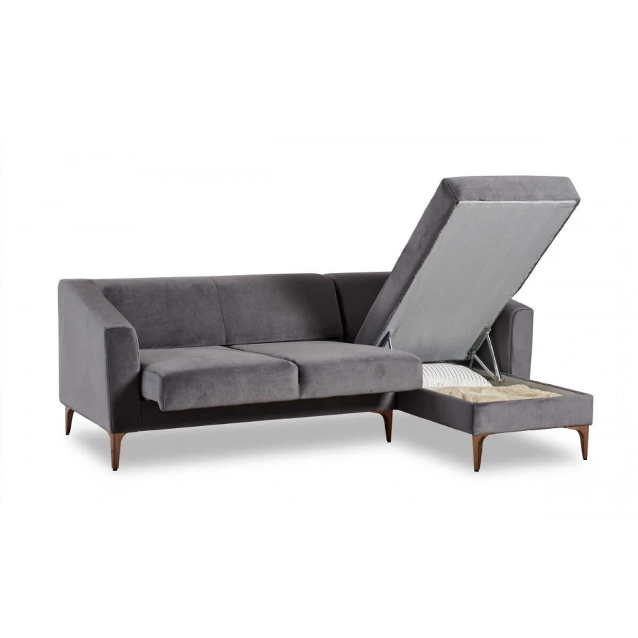 Purina Sağ Köşe Takımı