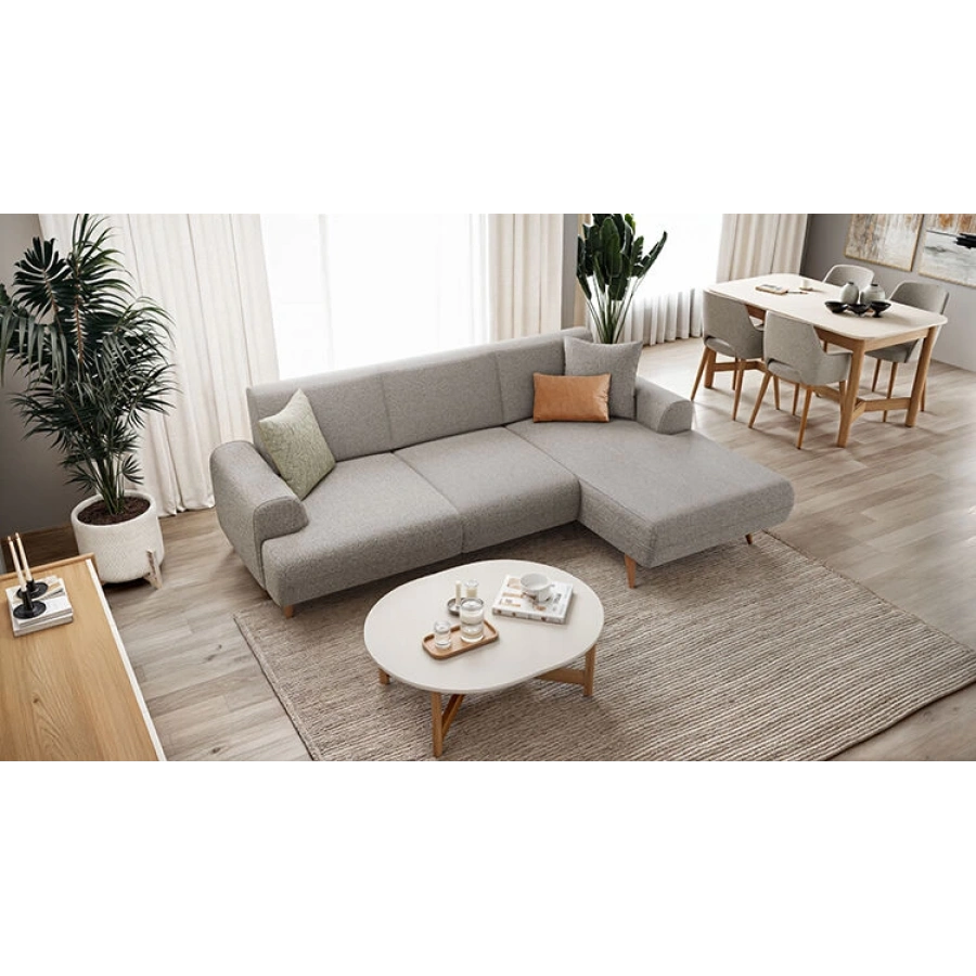 Violet Sağ Köşe Takımı