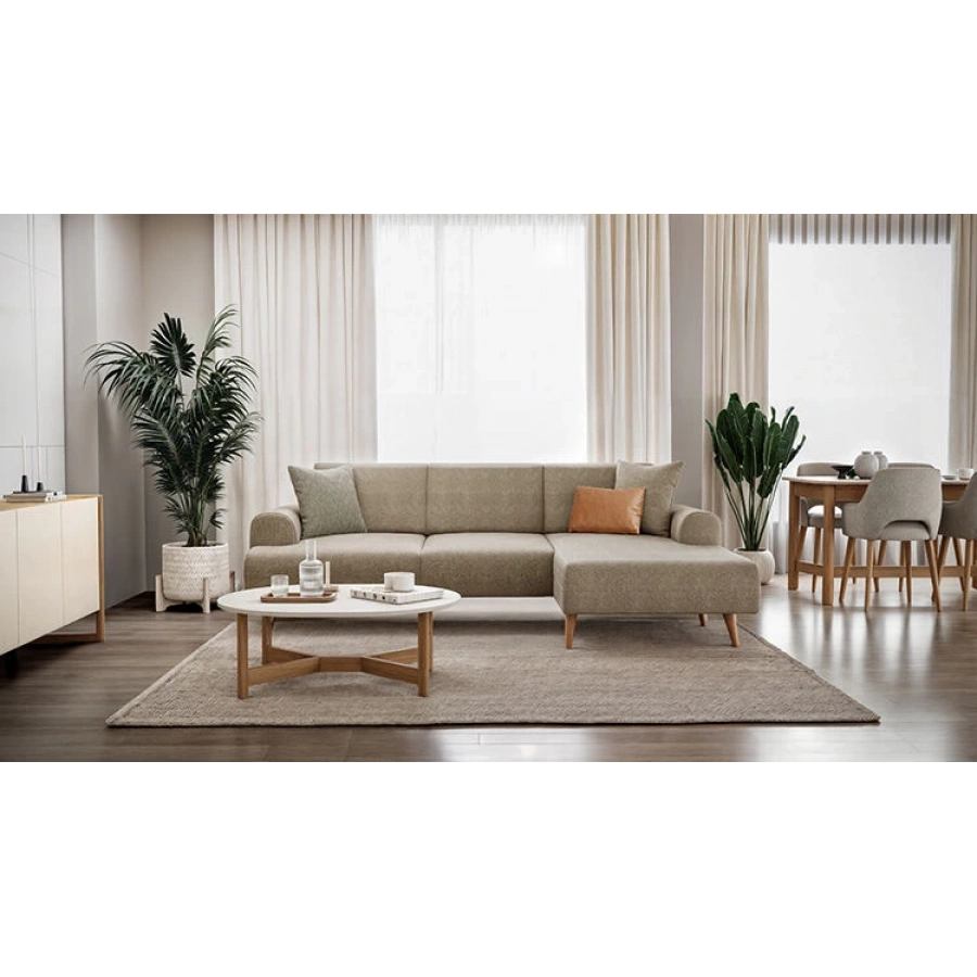 Violet Sol Köşe Takımı