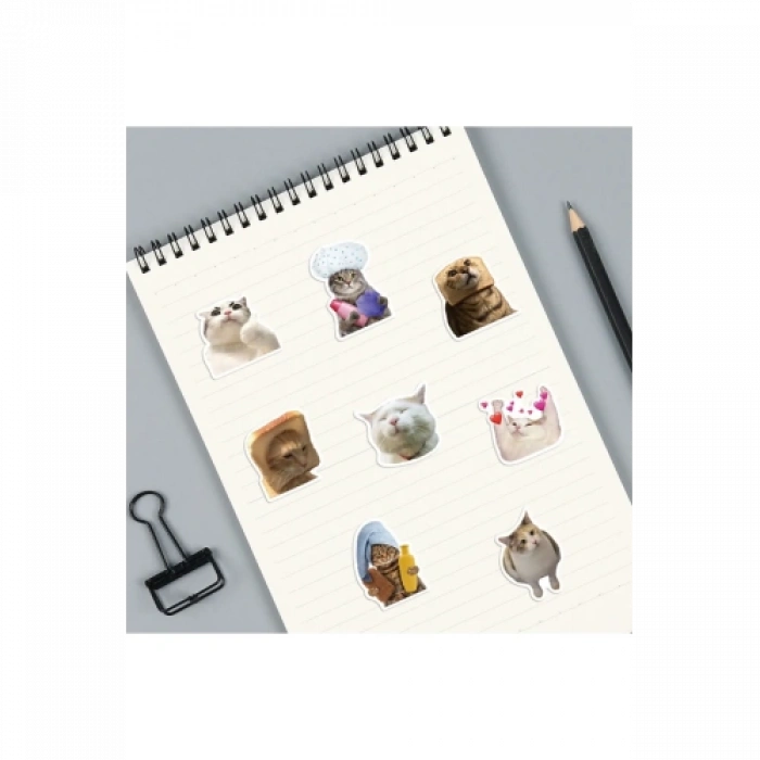 Çılgın Kediler Macbook Notebook Tablet Telefon Ajanda Laptop Defter Sticker Seti
