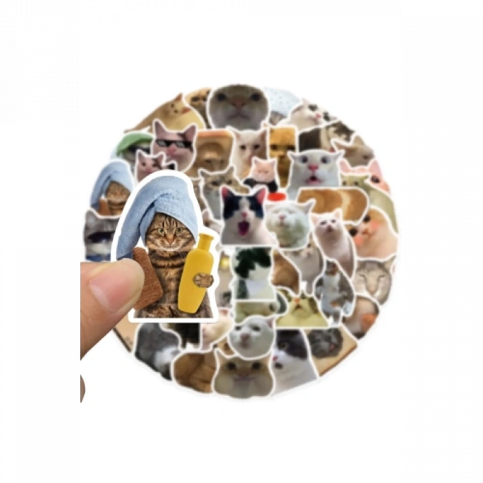 Çılgın Kediler Macbook Notebook Tablet Telefon Ajanda Laptop Defter Sticker Seti
