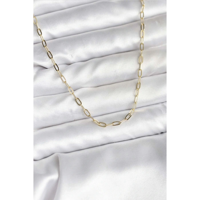 HEYF 14K Gold Renk Kaplama Ataç Zincir Model CM Kadın Kolye