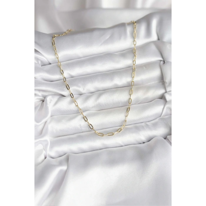 HEYF 14K Gold Renk Kaplama Ataç Zincir Model CM Kadın Kolye