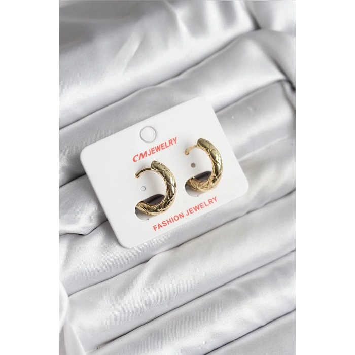 HEYF 14K Gold Renk Kaplama CM Kadın Küpe