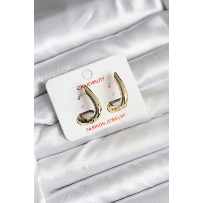 HEYF 14K Gold Renk Kaplama CM Kadın Küpe