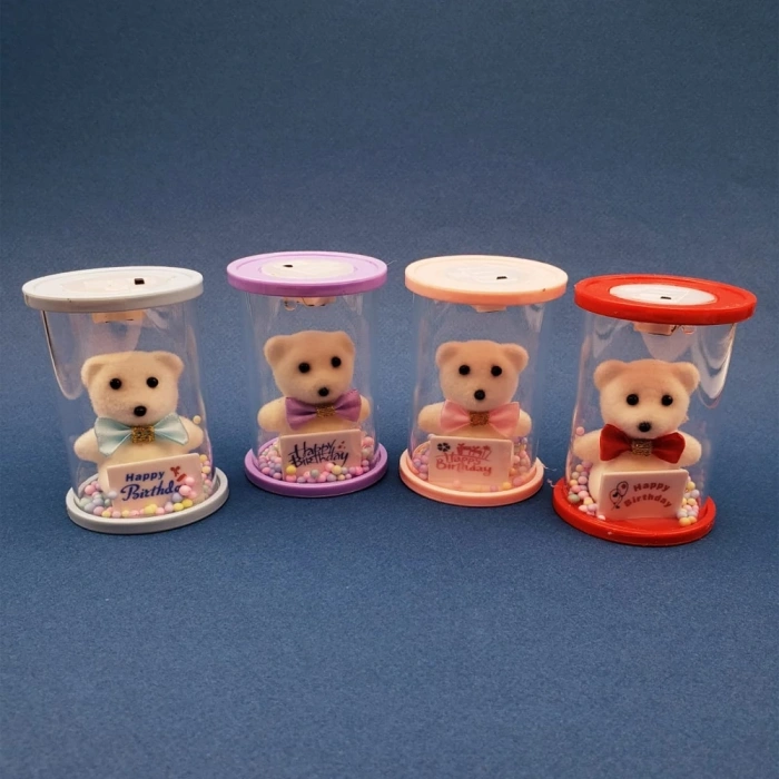 HEYF Happy Birthday Işıklı Ayıcık