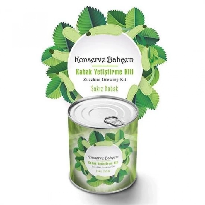 heyf HEYF® Konserve Bahçem Evde Konservede Sakız Kabak Yetiştirme Kiti