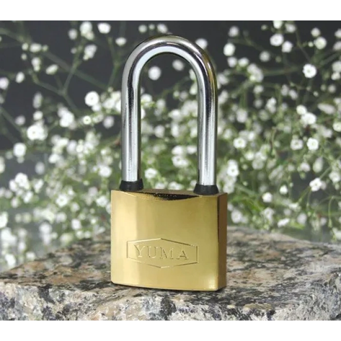 HEYF Sarı Kaplama Döküm Uzun Asma Kilit 38mm