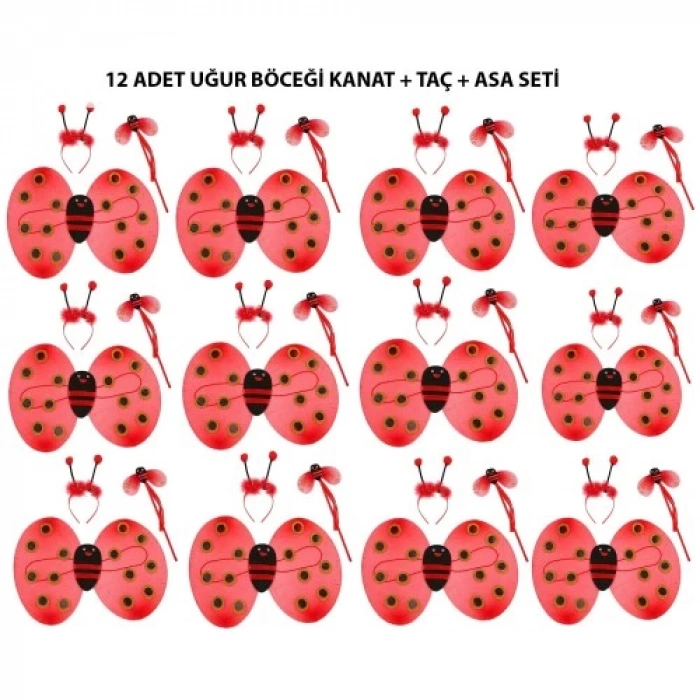 Uğur Böceği Kostüm Seti - Kanat, Taç, Asa 12 Adet
