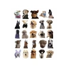 Sevimli Köpek Çıkartmaları Laptop Notebook Tablet Sticker Seti