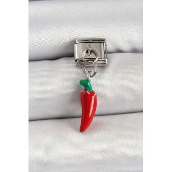 HEYF 316L Çelik Gümüş Renk Kapya Biber Model Nomination Charm