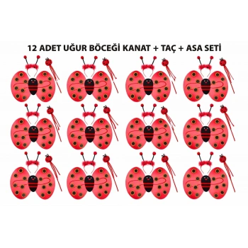 HEYF Uğur Böceği Kostüm Seti - Kanat Taç Asa 3 Parça 12 Adet