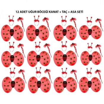Uğur Böceği Kostüm Seti - Kanat, Taç, Asa 12 Adet