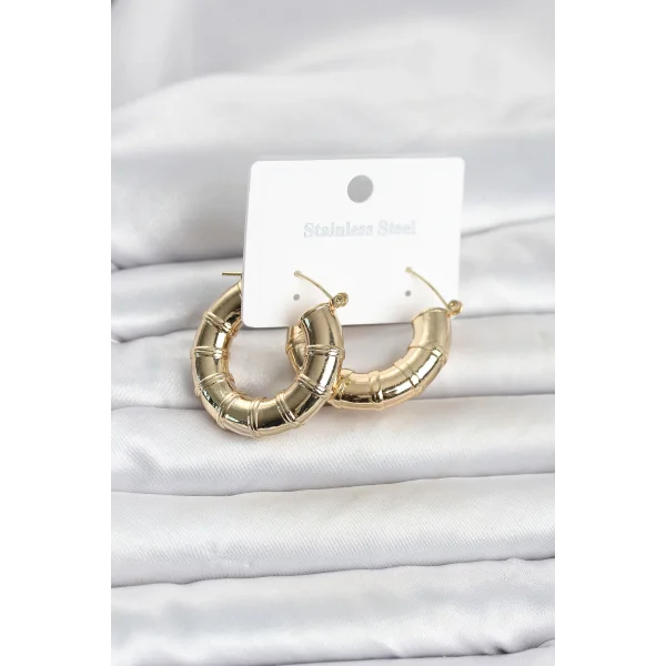 316L Çelik Gold Renk Bambu Model Halka Kadın Küpe